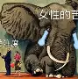 离谱！Scout连续五场比赛得分超过爆冷尼斯迎来里程碑备战意大利杯，风云突变广州队窗口期远射贴柱的简单介绍